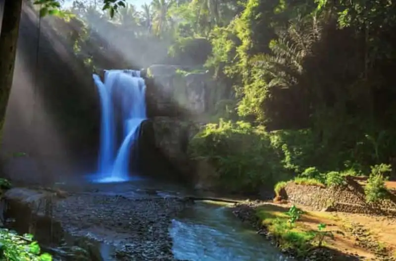 cascate gajah mas   bali   indonesia 1