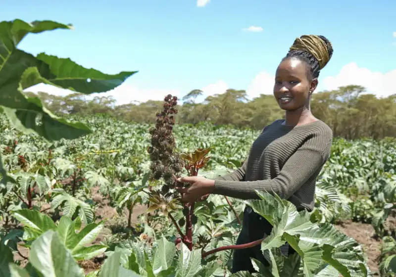 coltivatori di cacao in africa 5