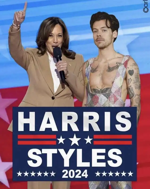 HARRIS STYLES - MEME BY EMILIANO CARLI 