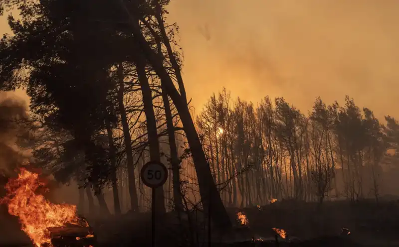 incendi in grecia 17