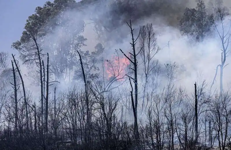 incendio a roma   5