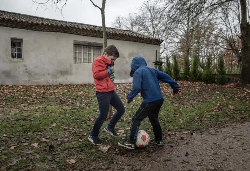 la vita di chi vive vicino agli  allevamenti intensivi 4