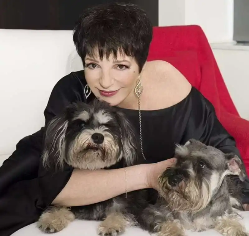 liza minnelli 1