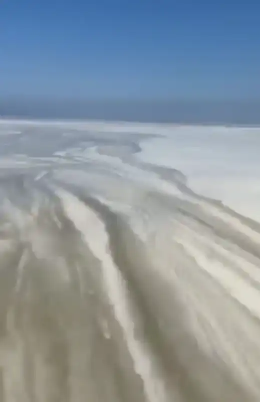 mucillagine nel mar adriatico 4