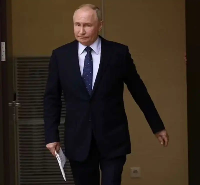 vladimir putin 