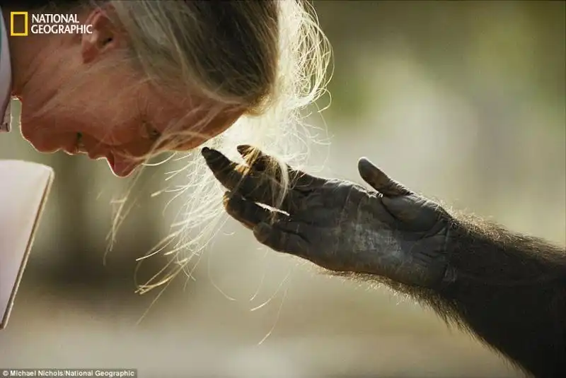 CENTOVENTICINQUE ANNI DI NATIONAL GEOGRAPHIC 