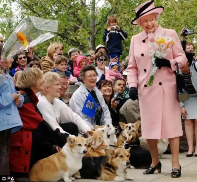 I CORGI DELLA REGINA ELISABETTA 