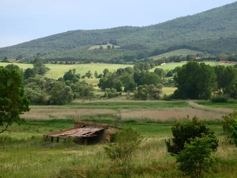 LAGO ACQUATO A CAPALBIO IN MAREMMA 