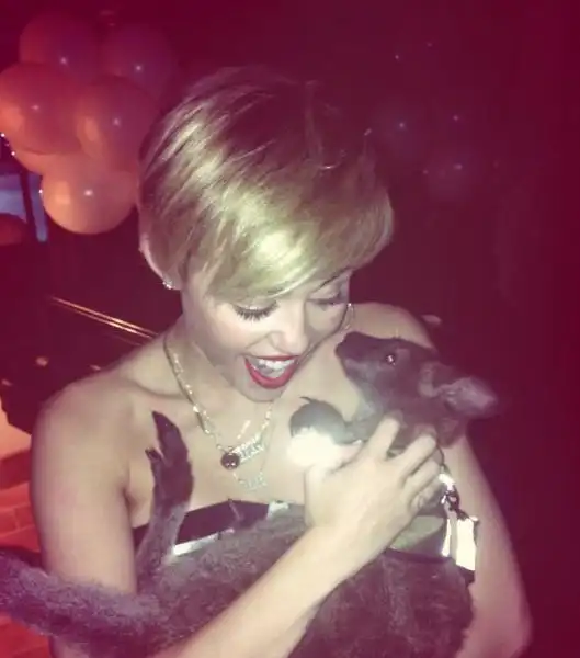 MILEY CYRUS CON UN CANGURO 