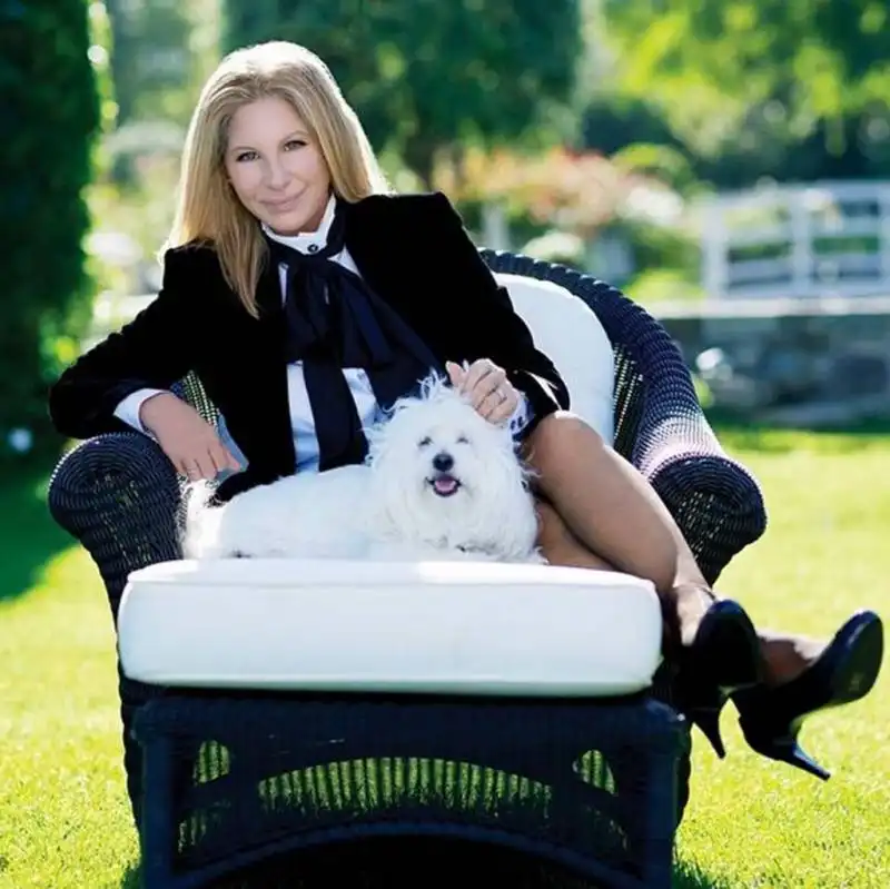 barbra streisand