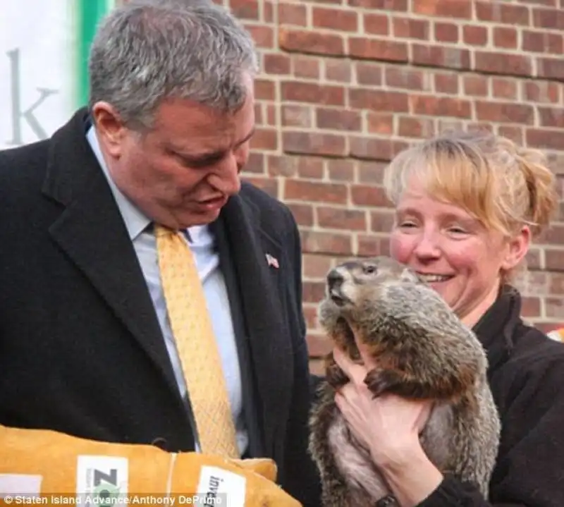 bill de blasio marmotta 