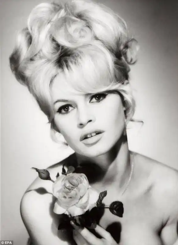 brigitte bardot