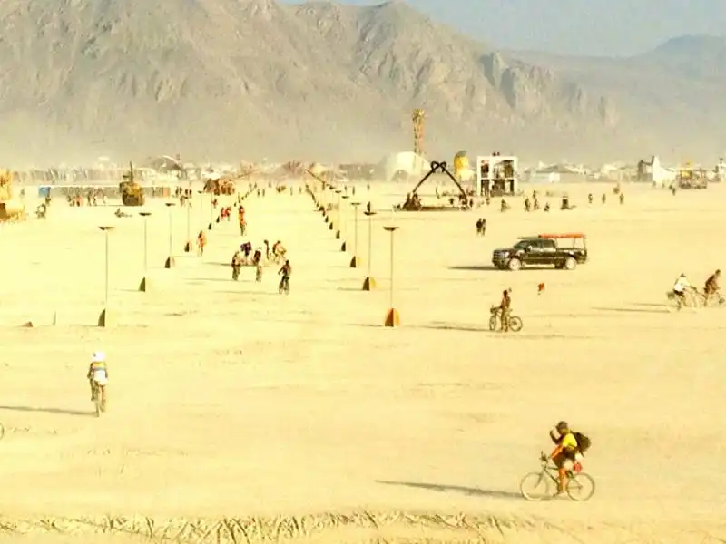 burning man 2014 100