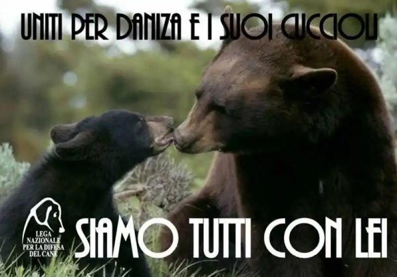 daniza   siamo con lei