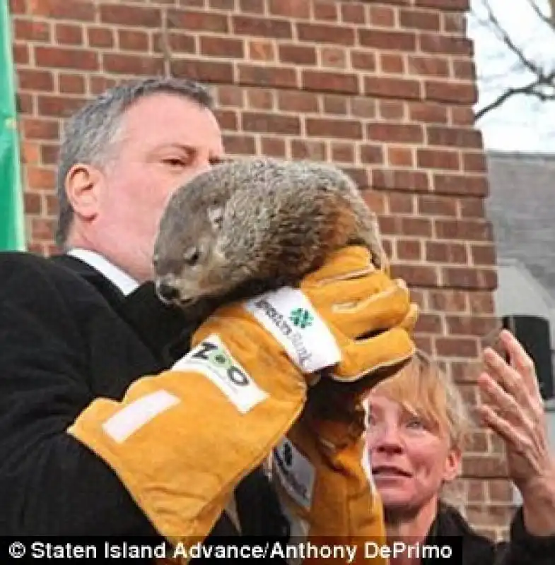 de blasio marmotta chuck