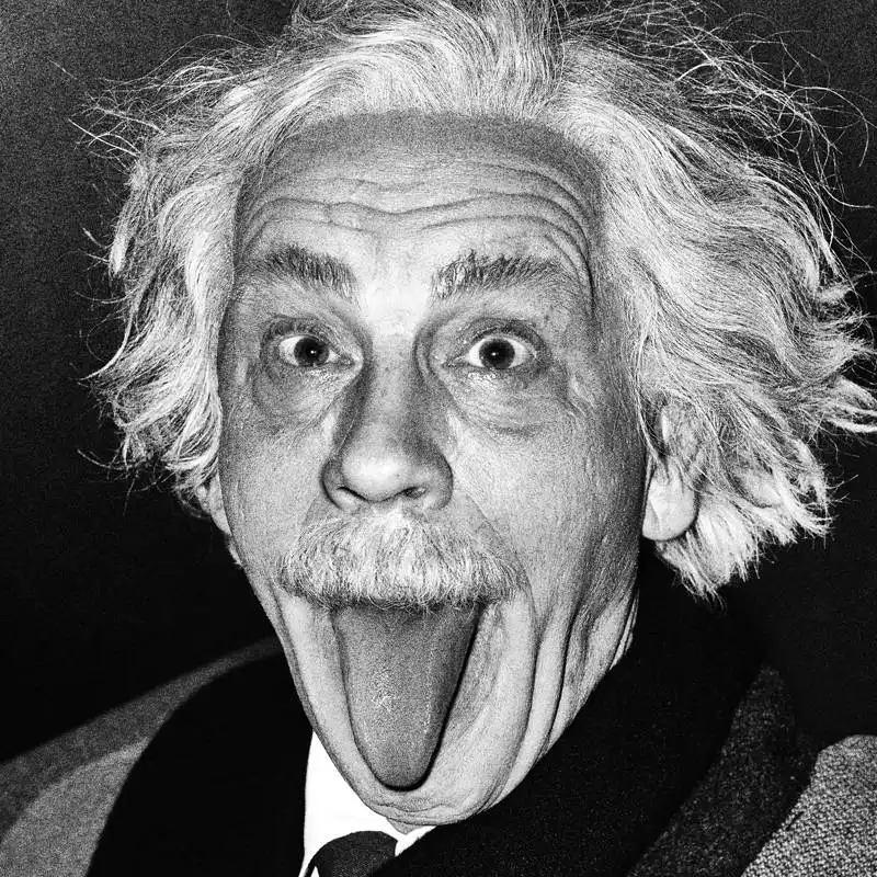 jonh malkovich interpreta arthur sasse : albert einstein foto di sandro miller