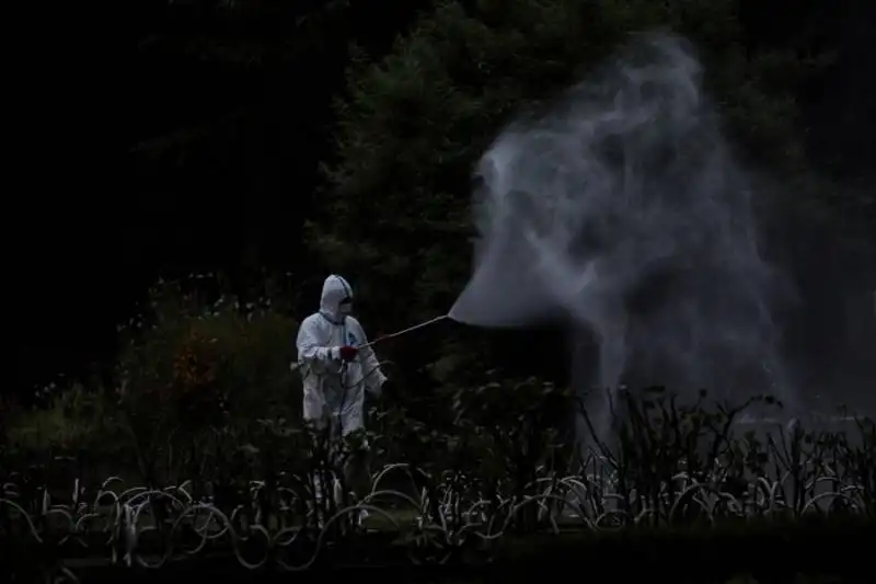 lavoratore sparge pesticida nel yoyogi park a tokyo