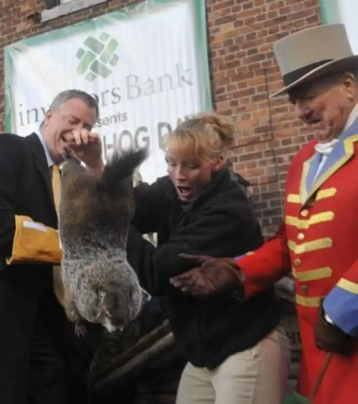 marmotta de blasio  