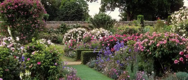 mottisfont abbey rose gardens, hampshire, uk