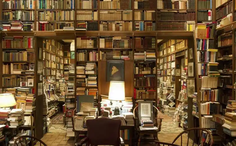 piles-of-books-in-a-private-college-library