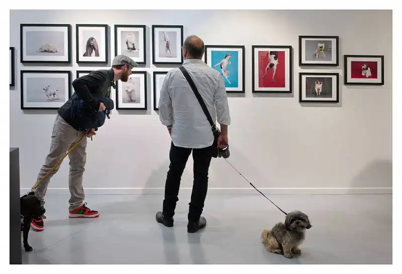 woof un esposizione da cani  a parigi