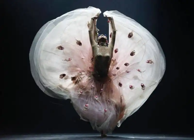 yang liping ballerina cinese