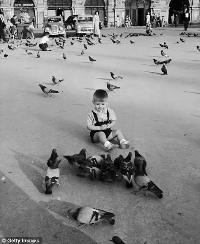 bambino in piazza dell unita a trieste   1950