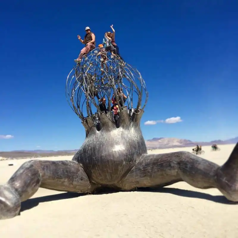 burning man 2015  30