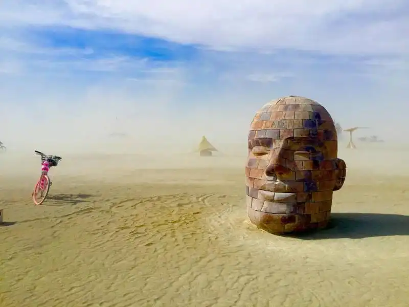 burning man 2015  38