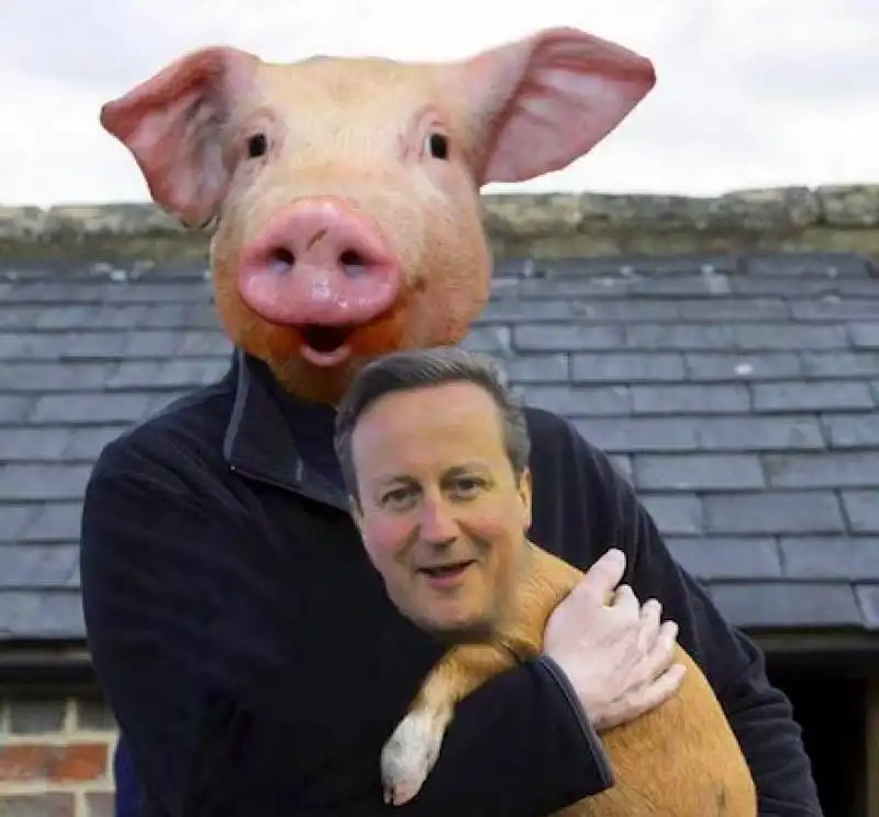 david cameron piggate  10