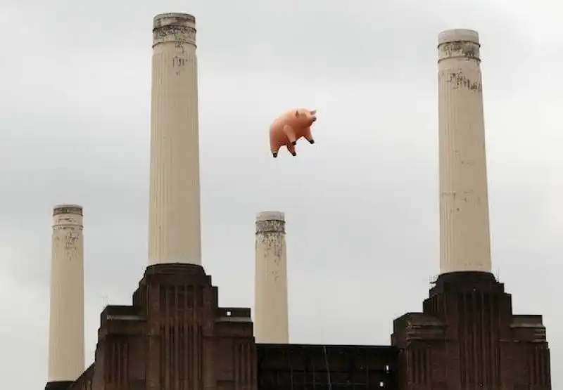 david cameron piggate  11