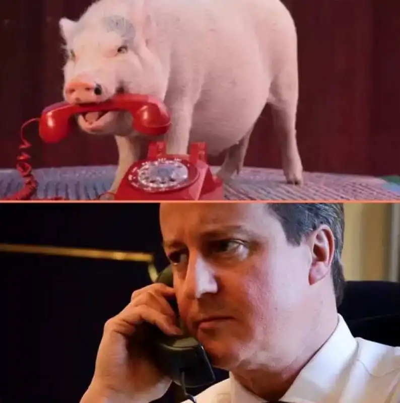 david cameron piggate  