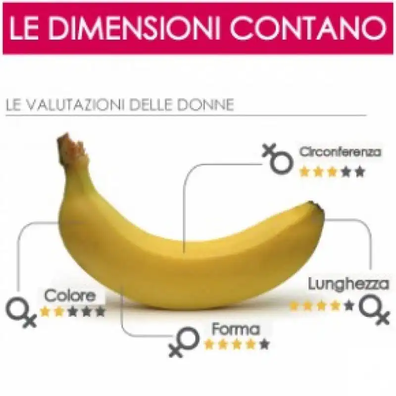 dimensioni pene 3