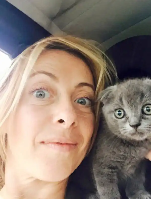 giorgia meloni con il nuovo gatto