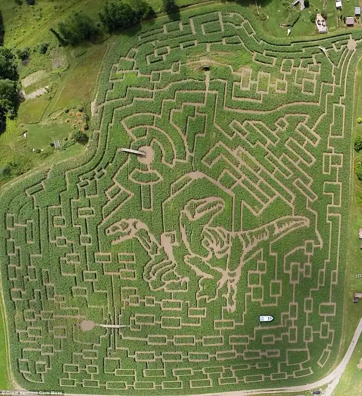 great vermont corn maze vermont