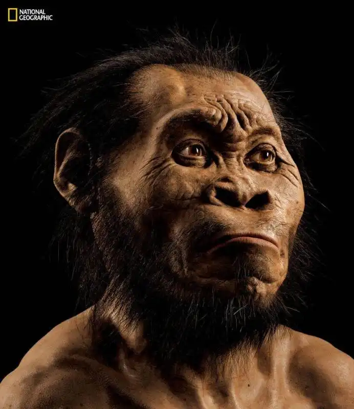 HOMO  NALEDI