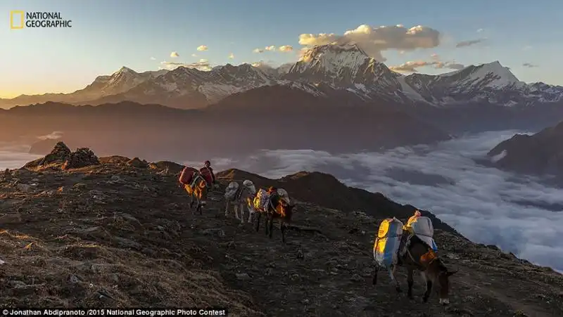 i monti dhaulagiri e annapurna   nepal