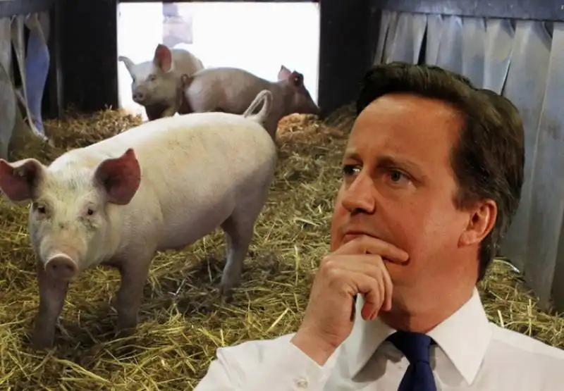 piggate david cameron  8