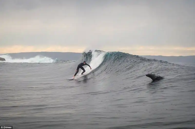 russell quinn e la foca 2