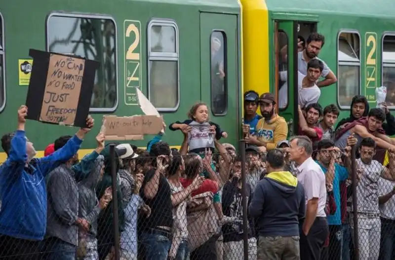 ungheria   200 profughi in cammino da budapest a vienna   13