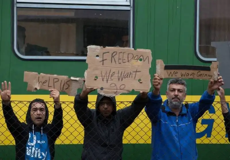 ungheria   200 profughi in cammino da budapest a vienna   18