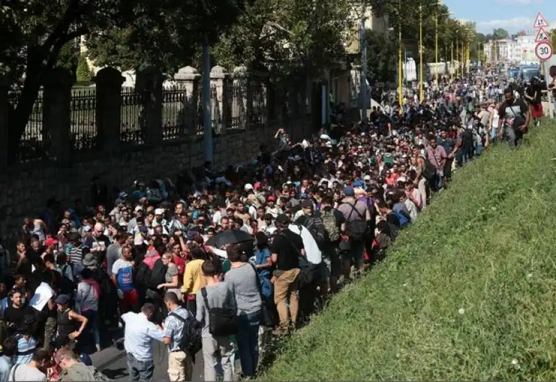 ungheria   200 profughi in cammino da budapest a vienna   3