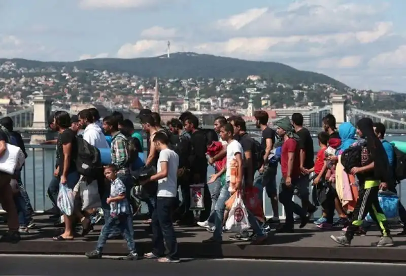 ungheria   200 profughi in cammino da budapest a vienna   5