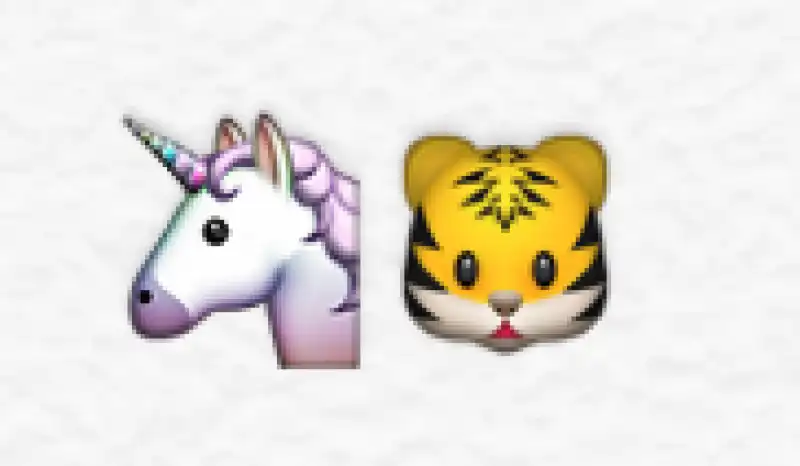 unicorno e tigre