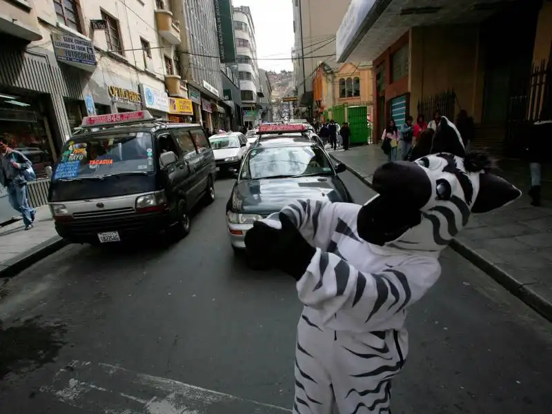 zebre del traffico bolivia