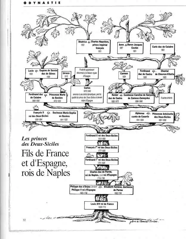 Albero Genealogico Borbone