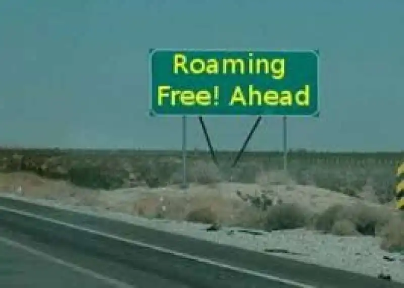 FREE ROAMING