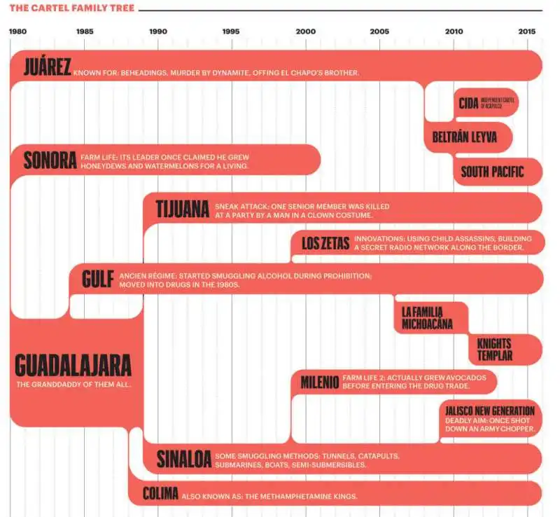 l albero genealogico dei cartelli