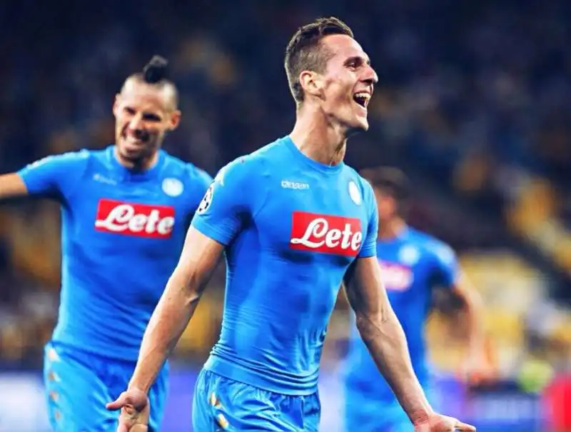 MILIK E HAMSIK