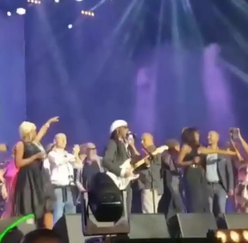 NILE RODGERS 24